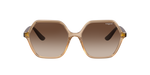 282613 - Transparent Caramel / Brown Gradient