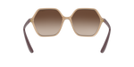 282613 - Transparent Caramel / Brown Gradient