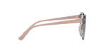2820 - Transparent Grey / Demo Lens