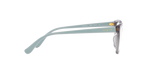 2820 - Transparent Grey / Demo Lens