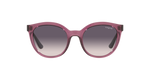 276136 - Transparent Purple / Pink Gradient Dark Grey