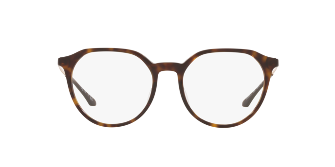W656 - Dark Havana / Demo Lens