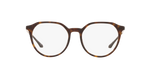 W656 - Dark Havana / Demo Lens