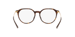 W656 - Dark Havana / Demo Lens