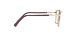 2990 - Transparent Light Brown / Demo Lens