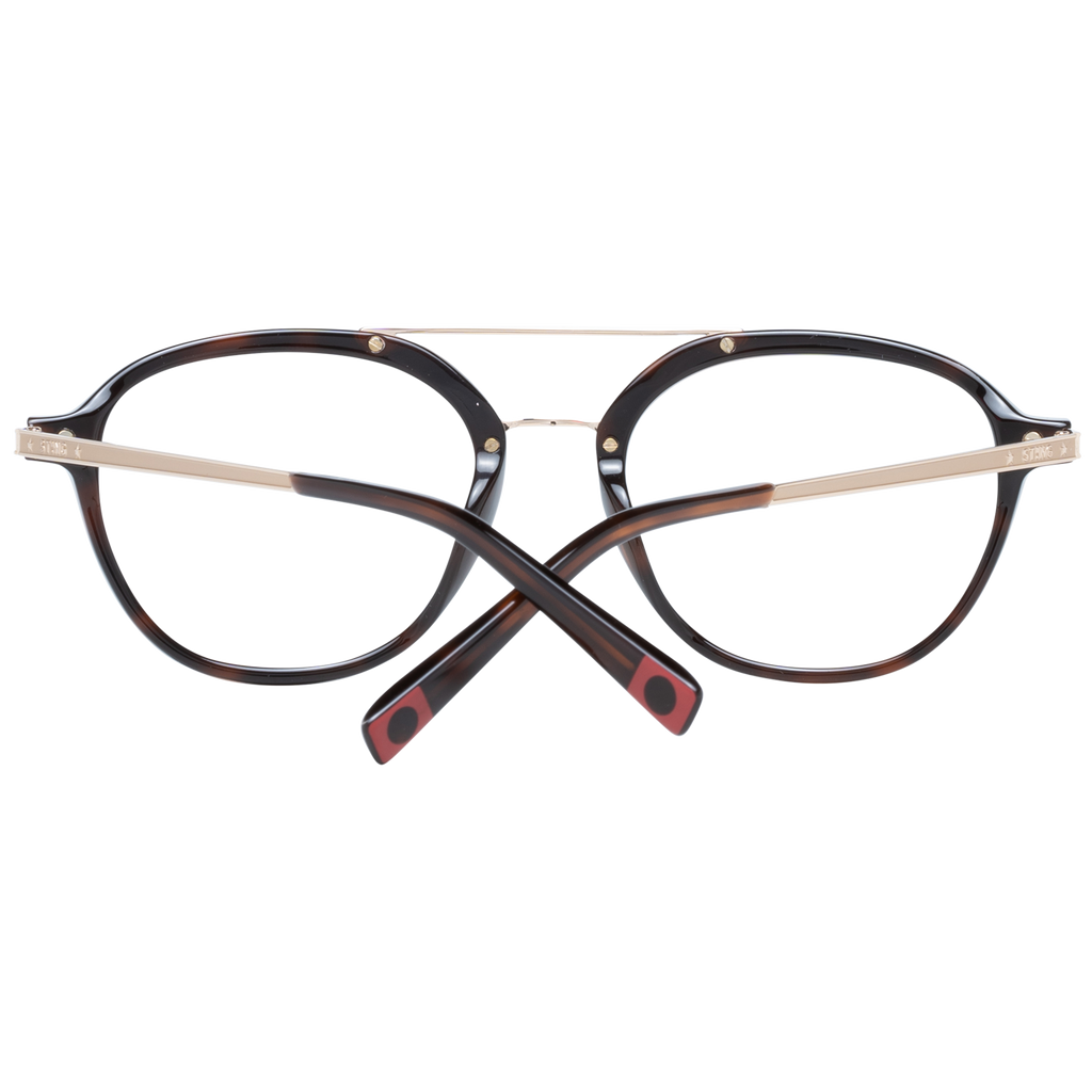 Brown/Demo glasses
