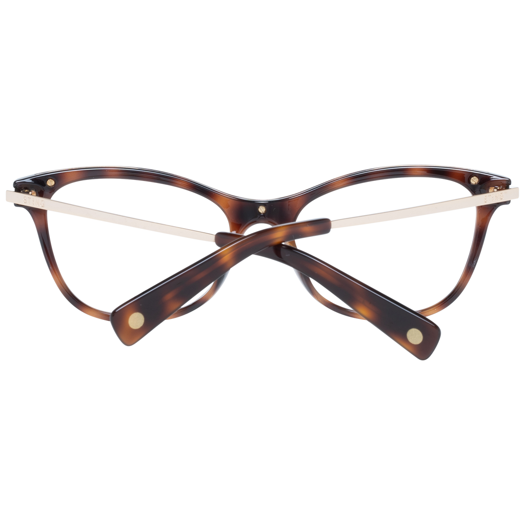 Brown/Demo glasses