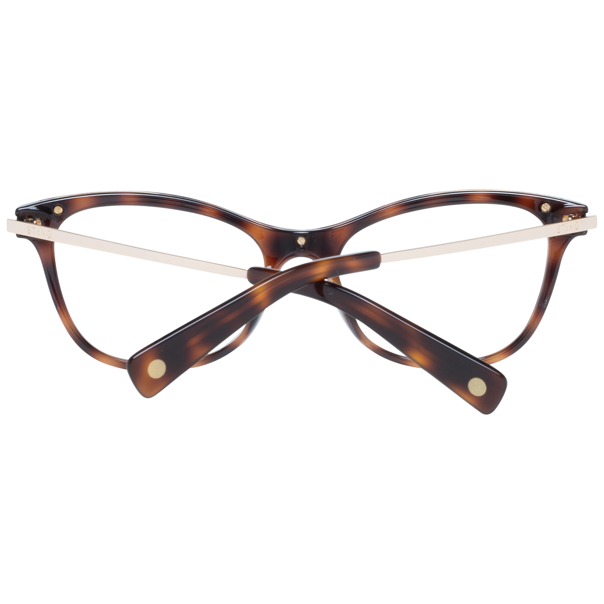 Brown/Demo glasses