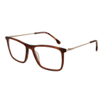 Brown/Demo glasses