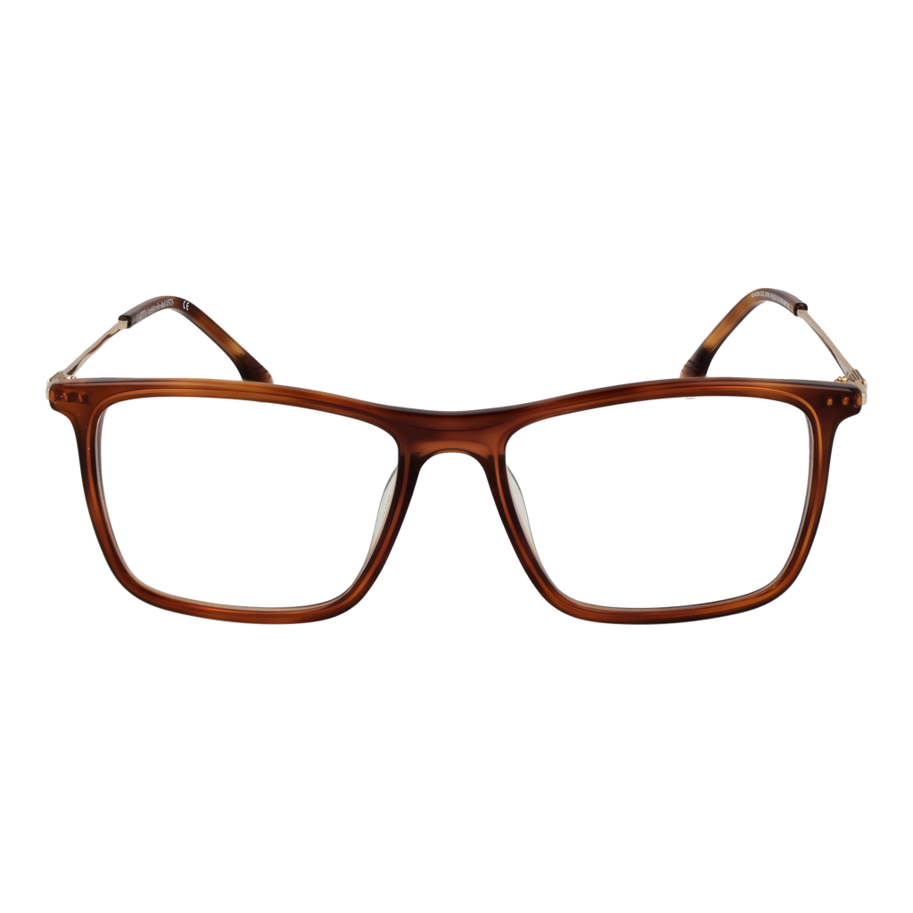 Brown/Demo glasses