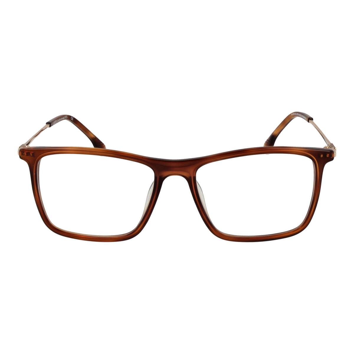 Brown/Demo glasses