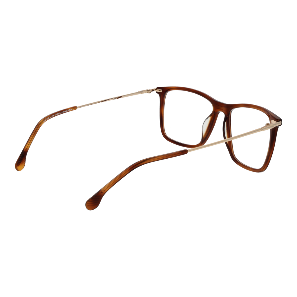 Brown/Demo glasses