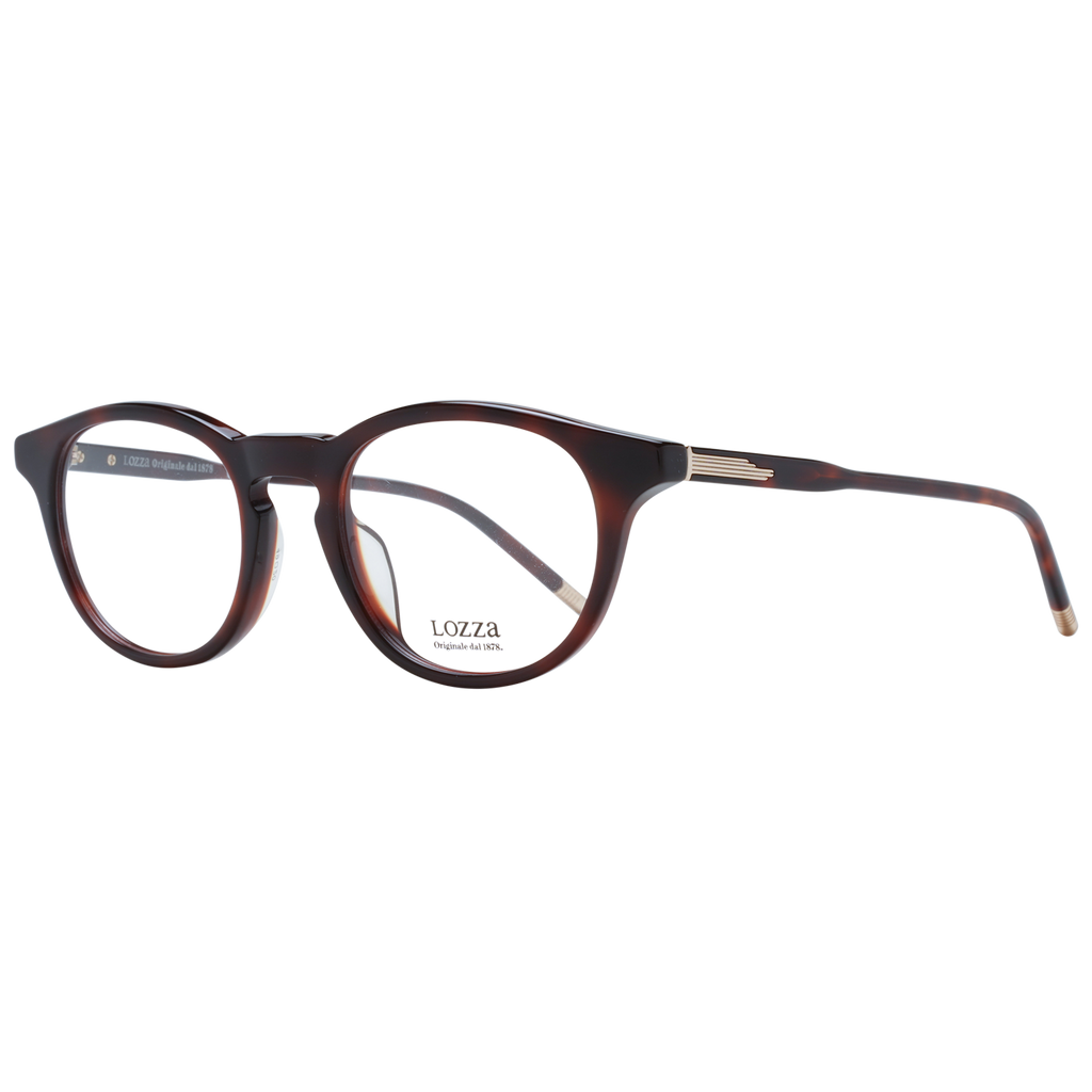 Brown/Demo glasses