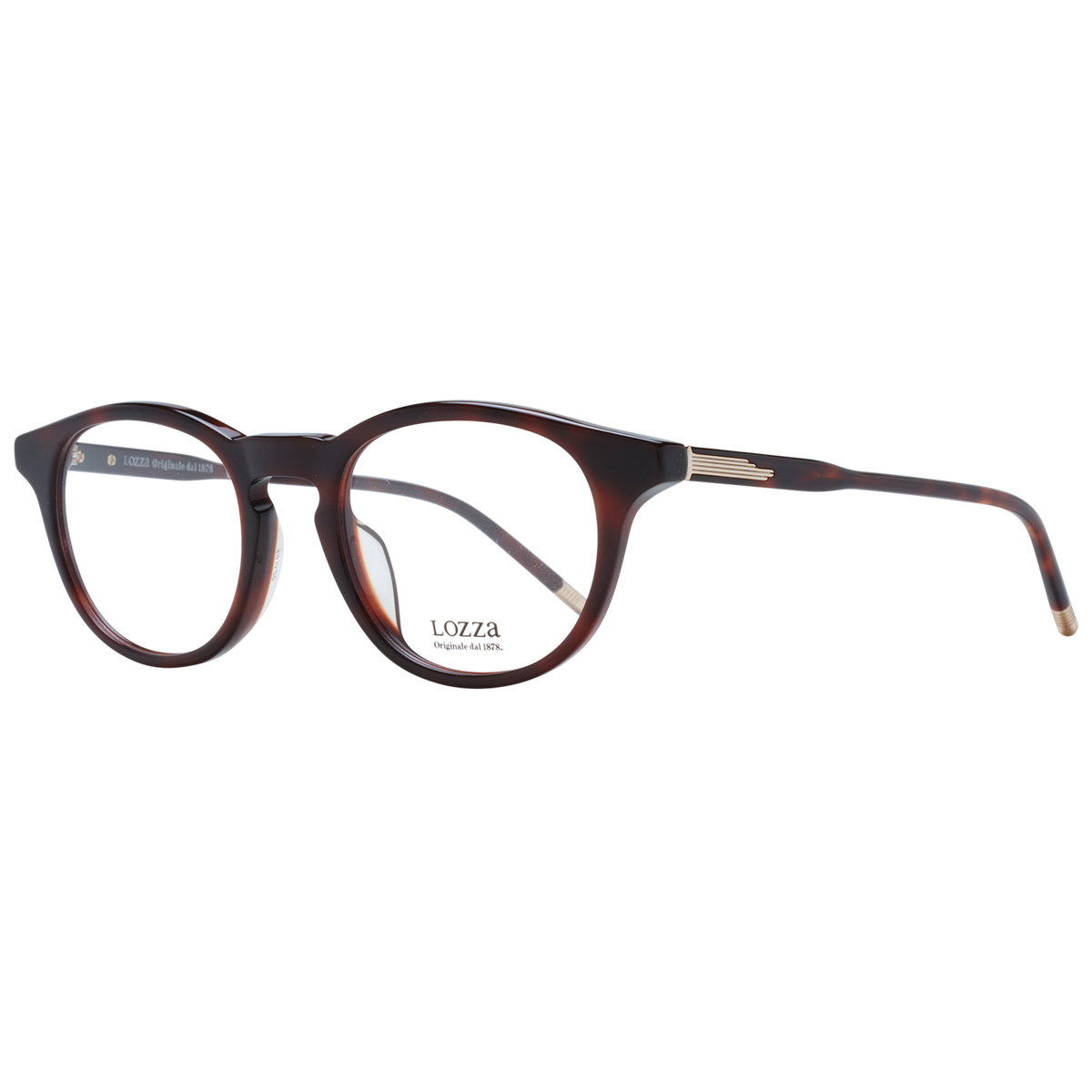 Brown/Demo glasses