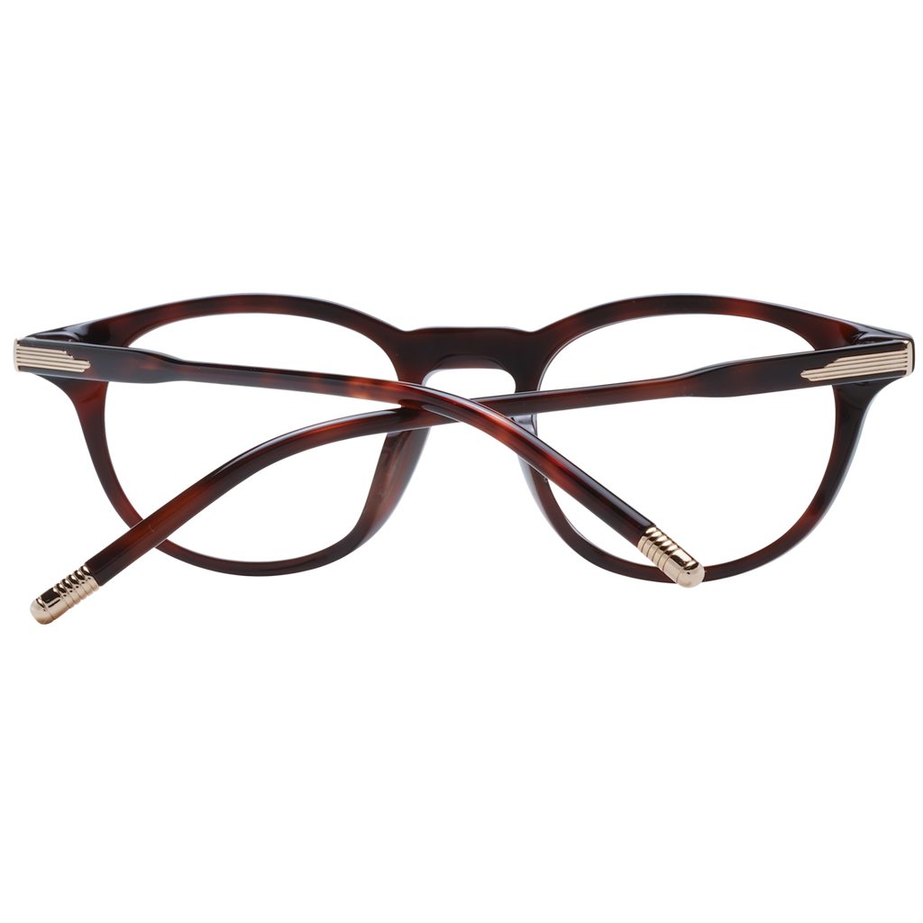Brown/Demo glasses