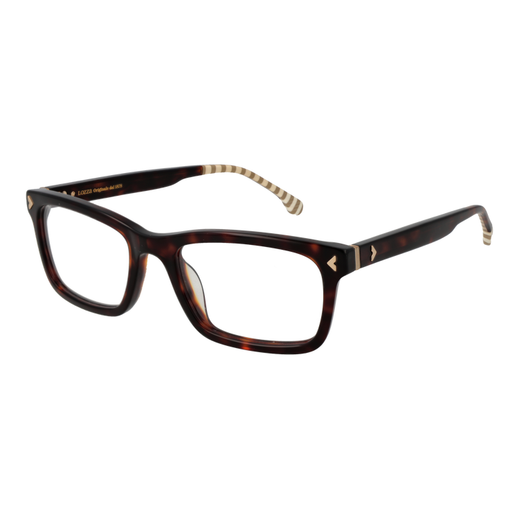 Brown/Demo glasses