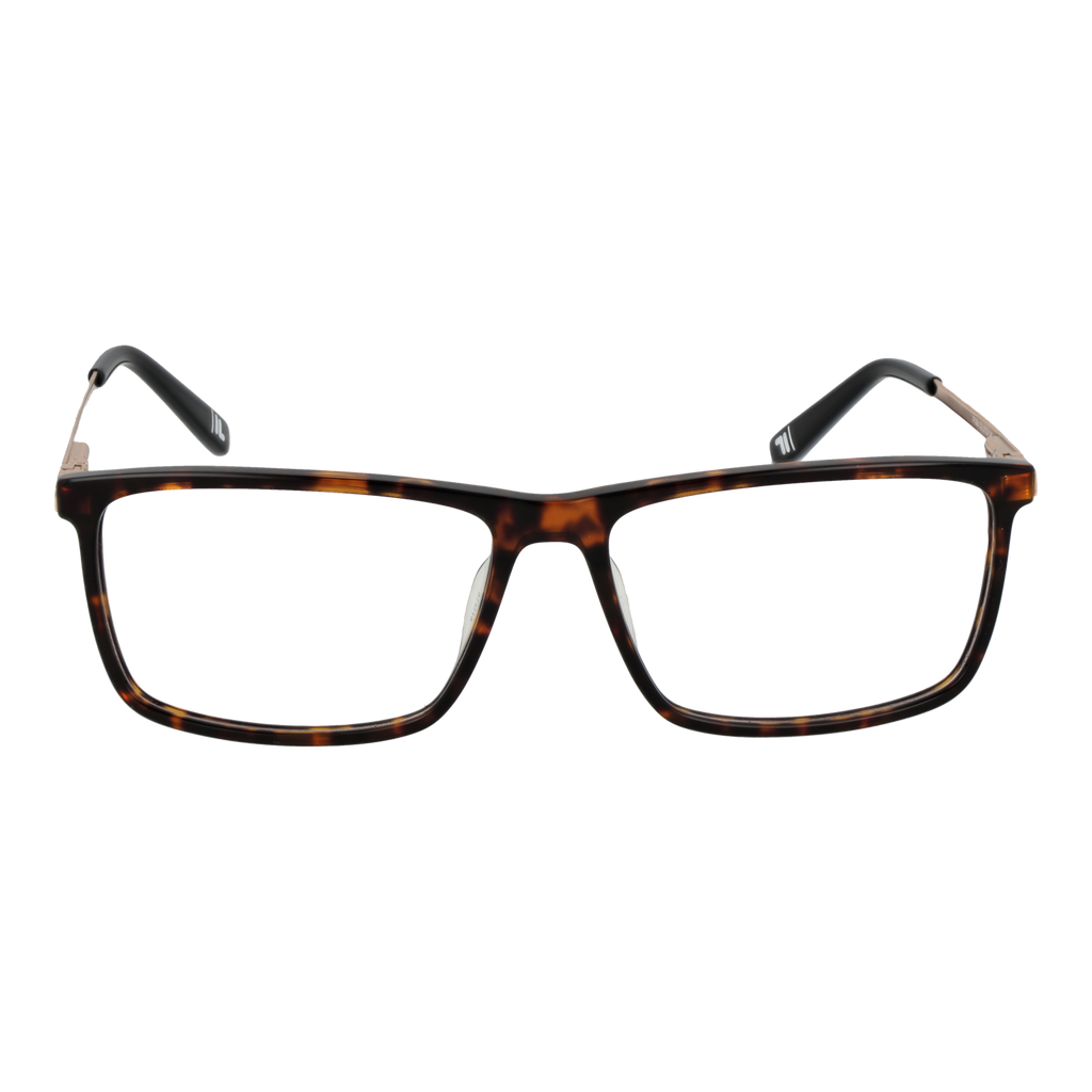 Brown/Demo glasses