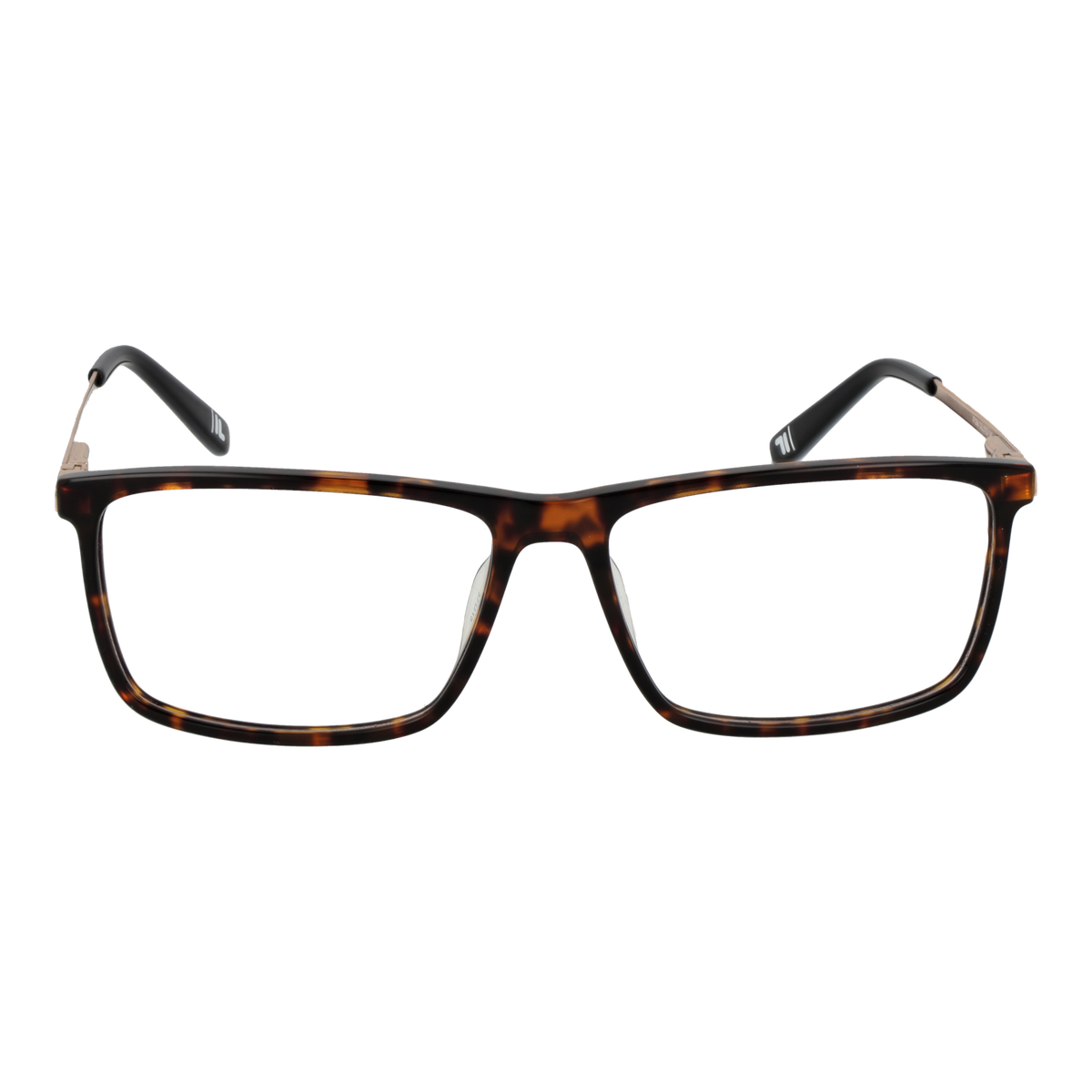 Brown/Demo glasses