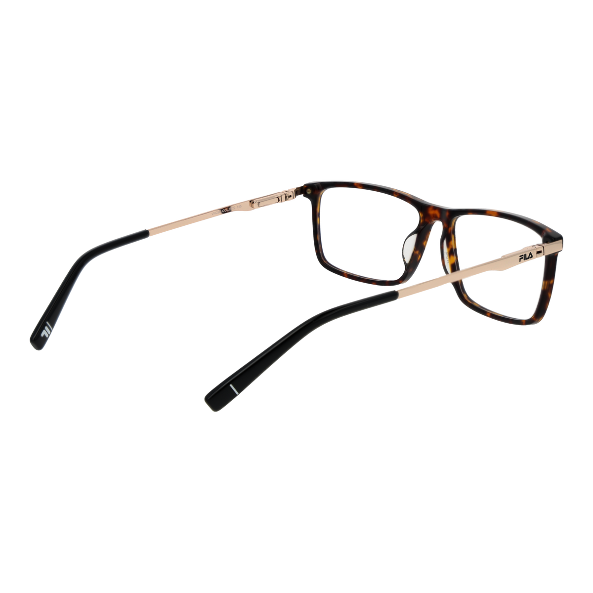 Brown/Demo glasses