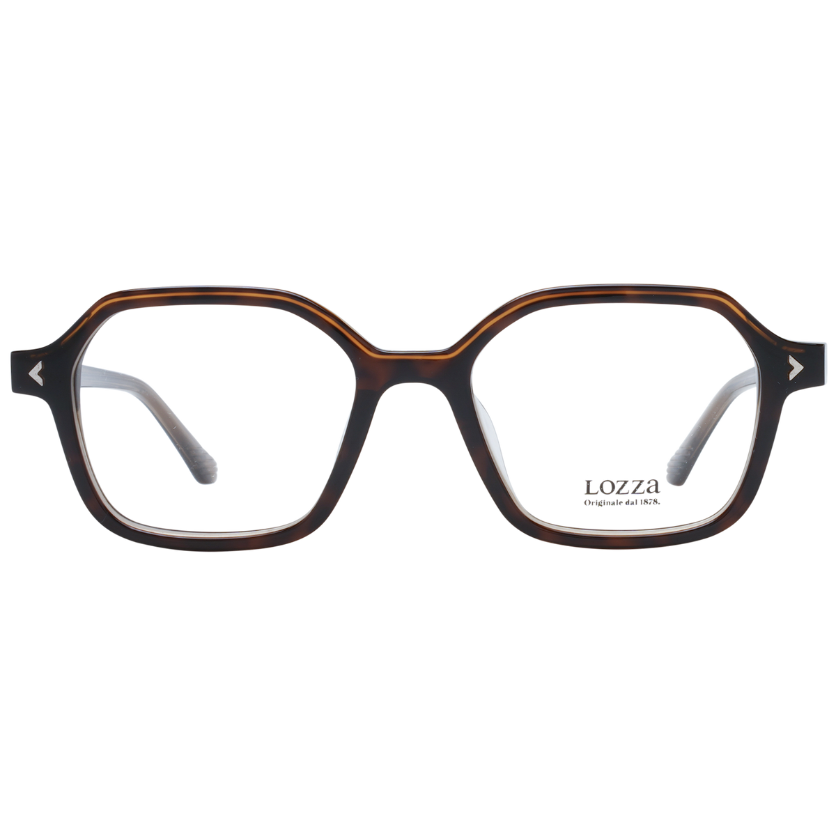 Brown/Demo glasses