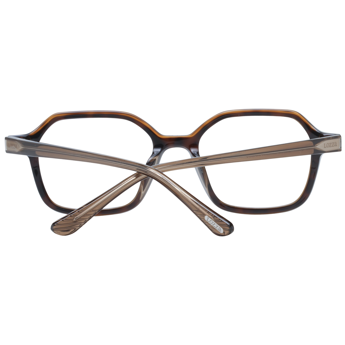 Brown/Demo glasses