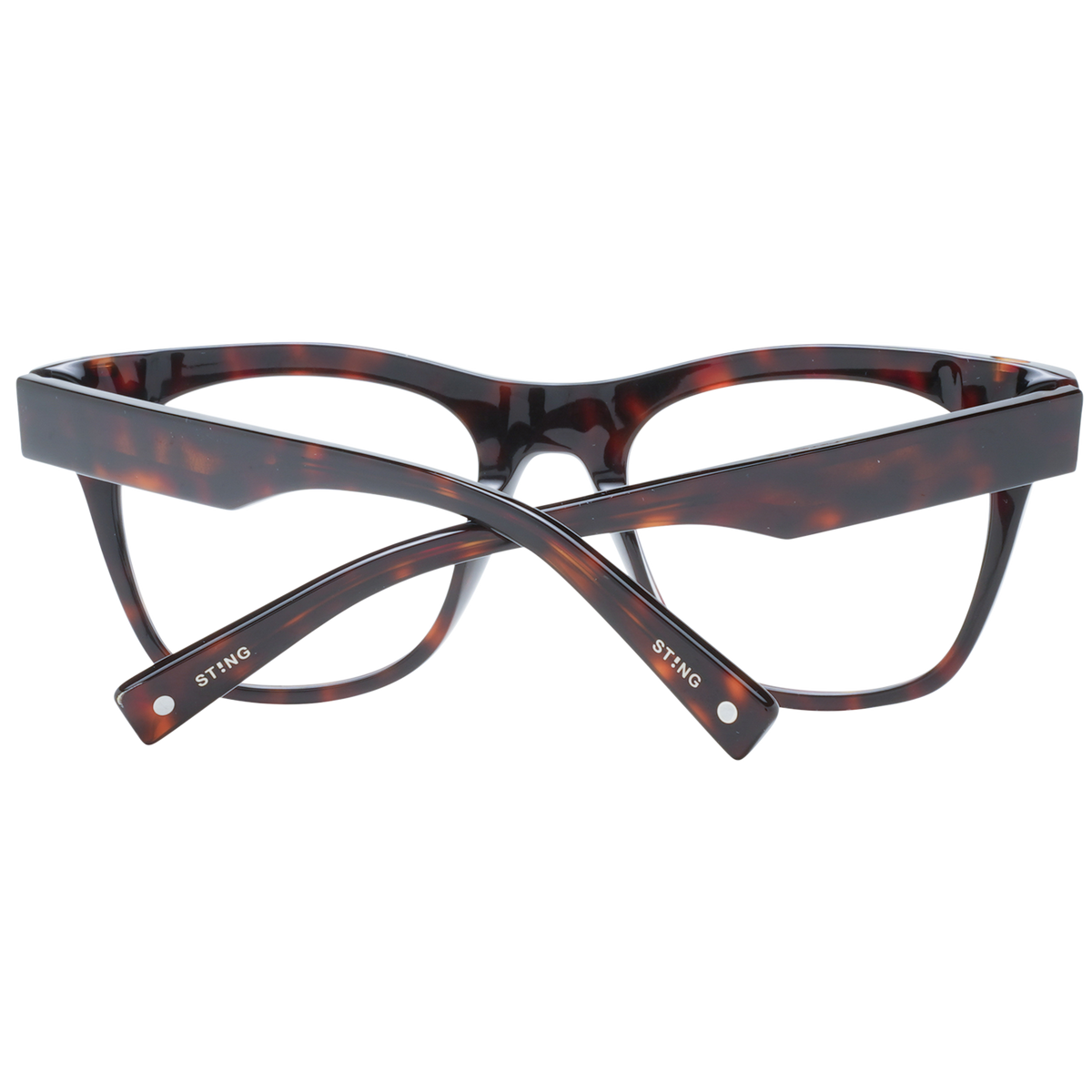 Brown/Demo glasses