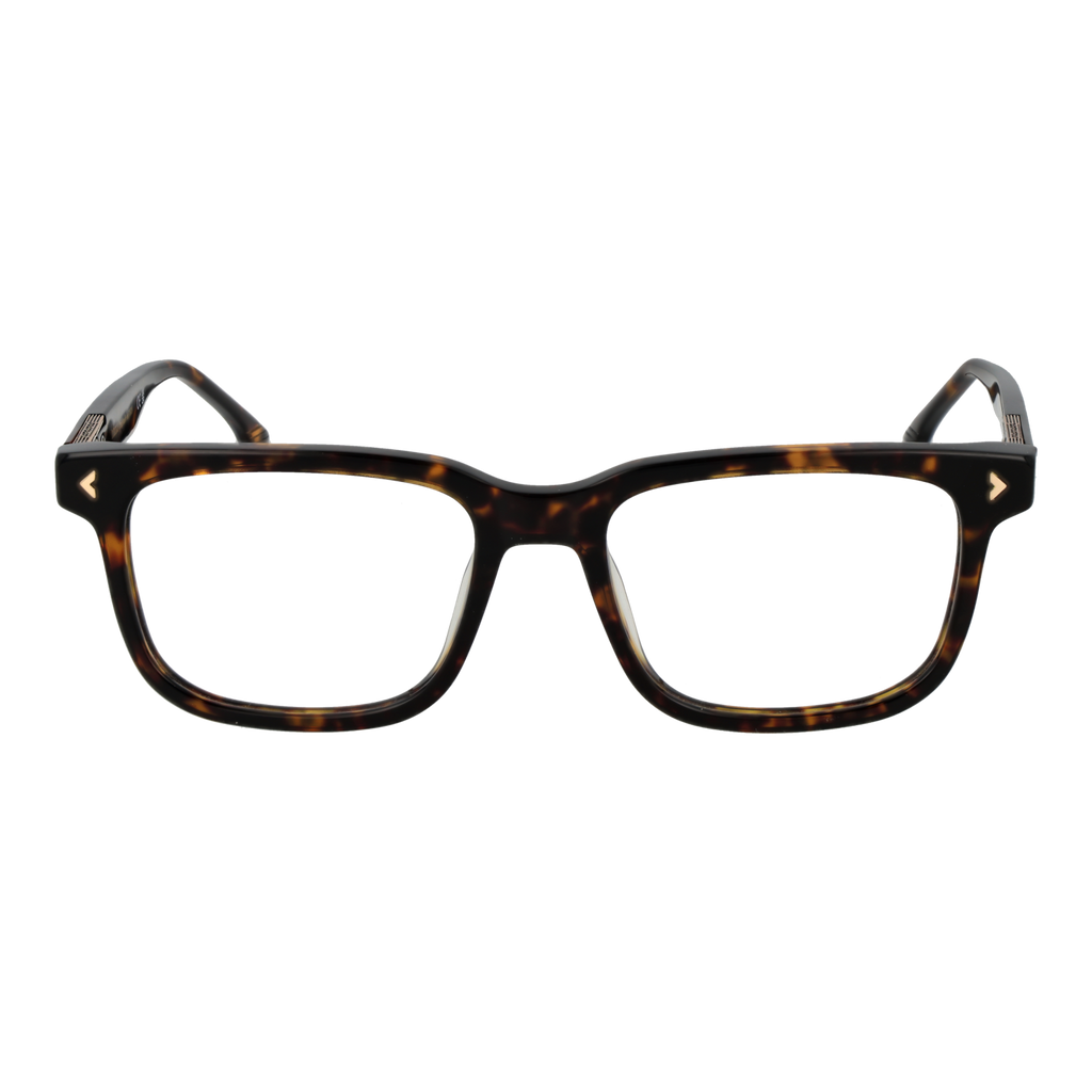 Brown/Demo glasses