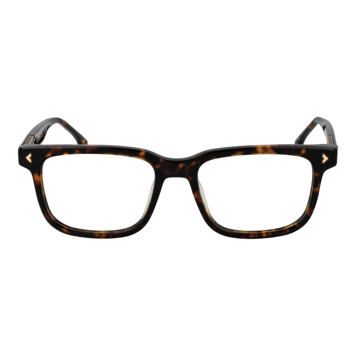 Brown/Demo glasses