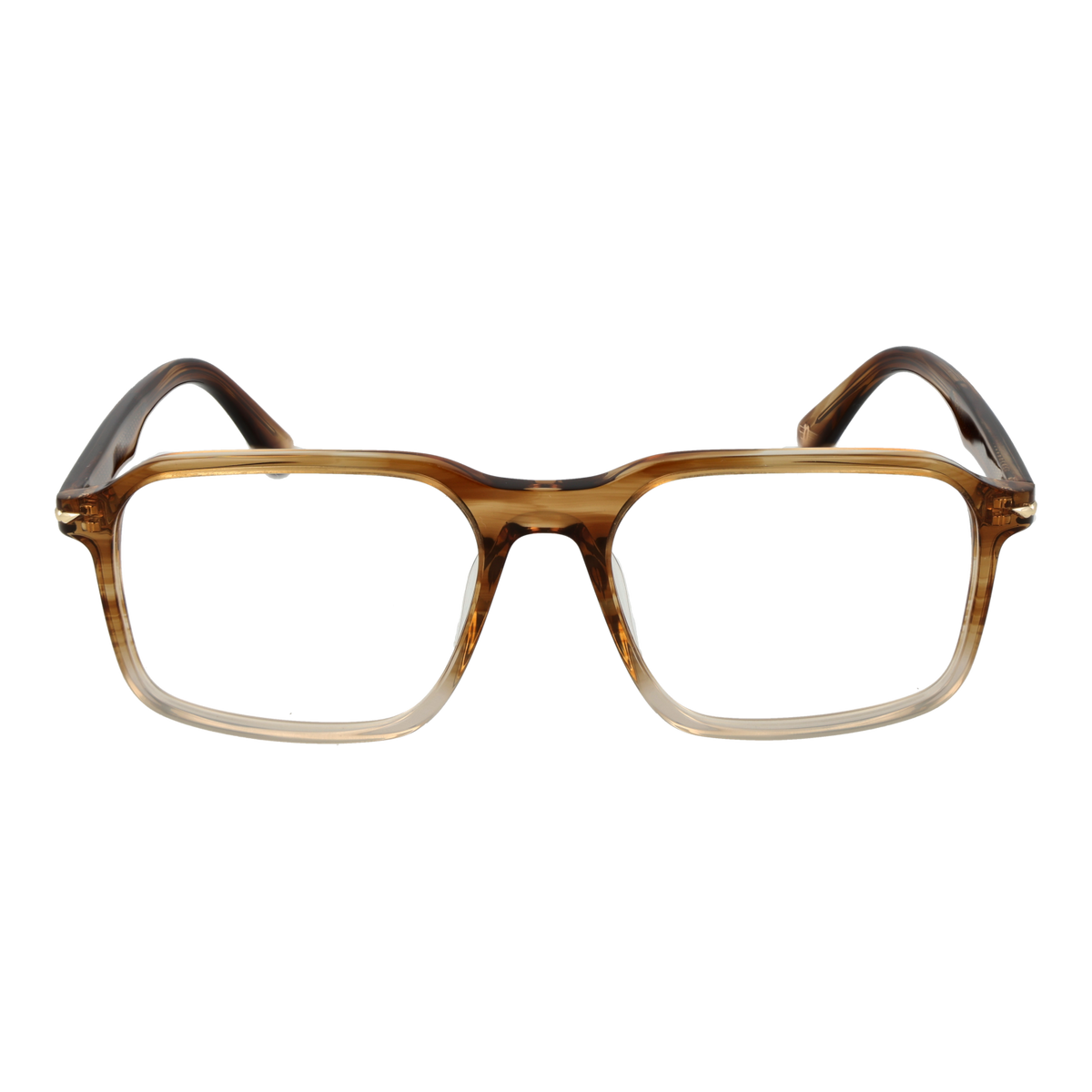 Brown/Demo glasses