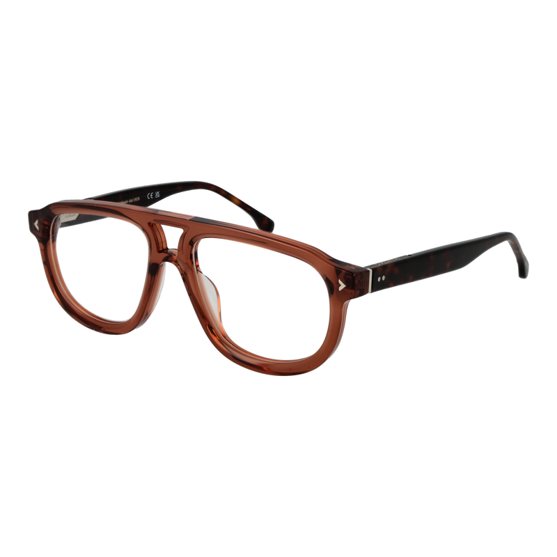 Brown/Demo glasses
