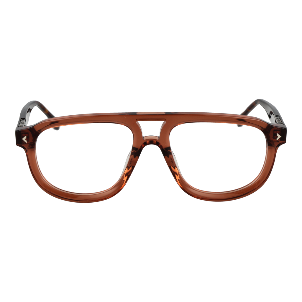 Brown/Demo glasses