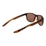 Brown/Brown