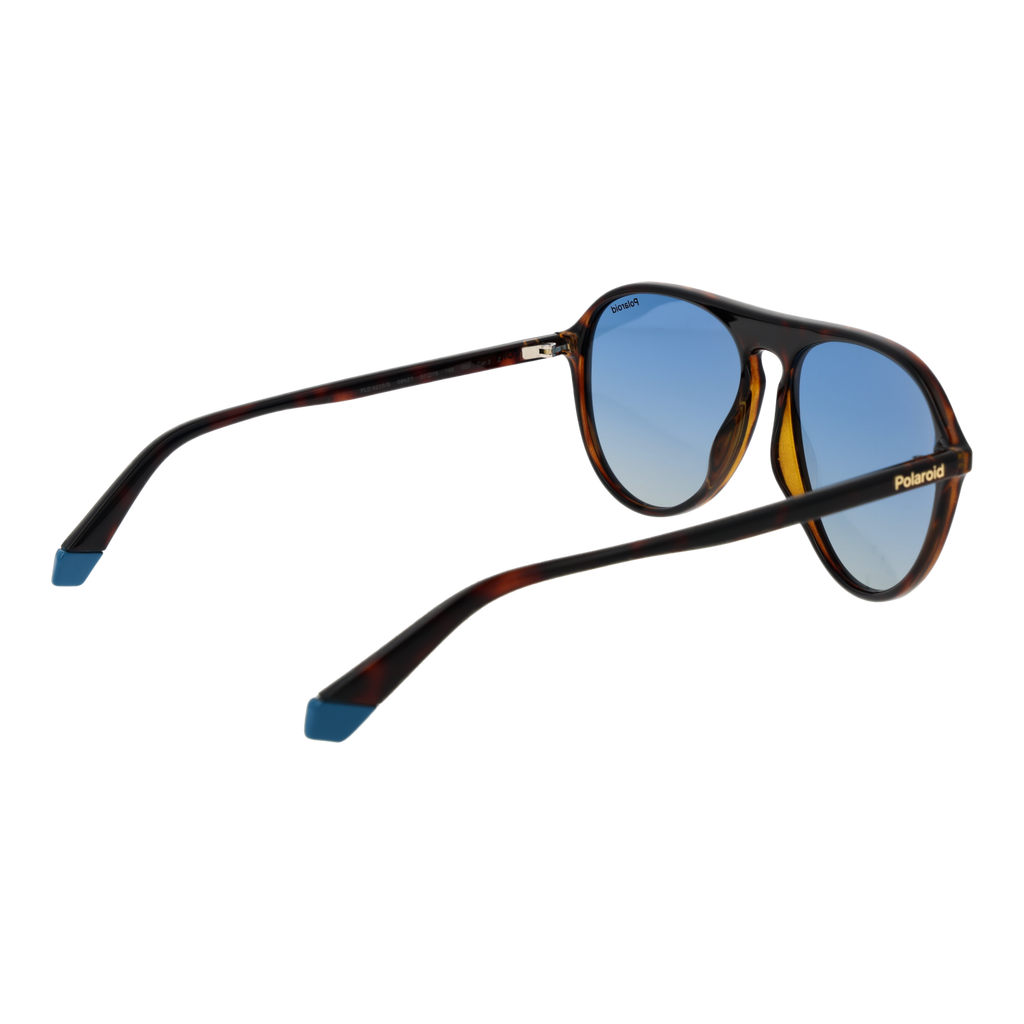 Brown/Blue