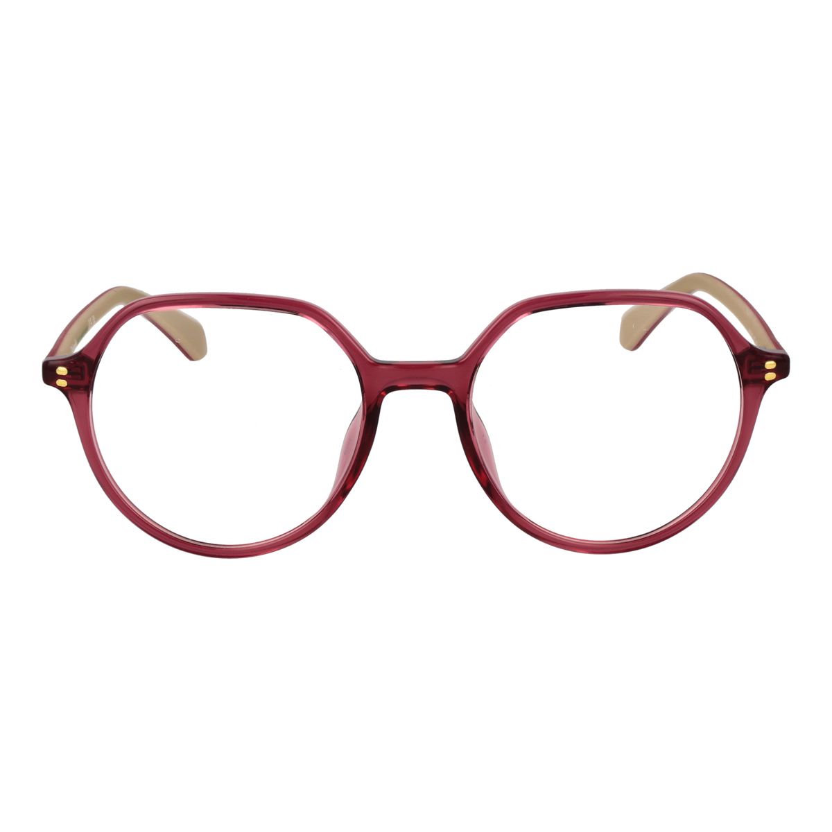 Purple/Demo glasses