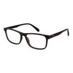 Brown/Demo glasses
