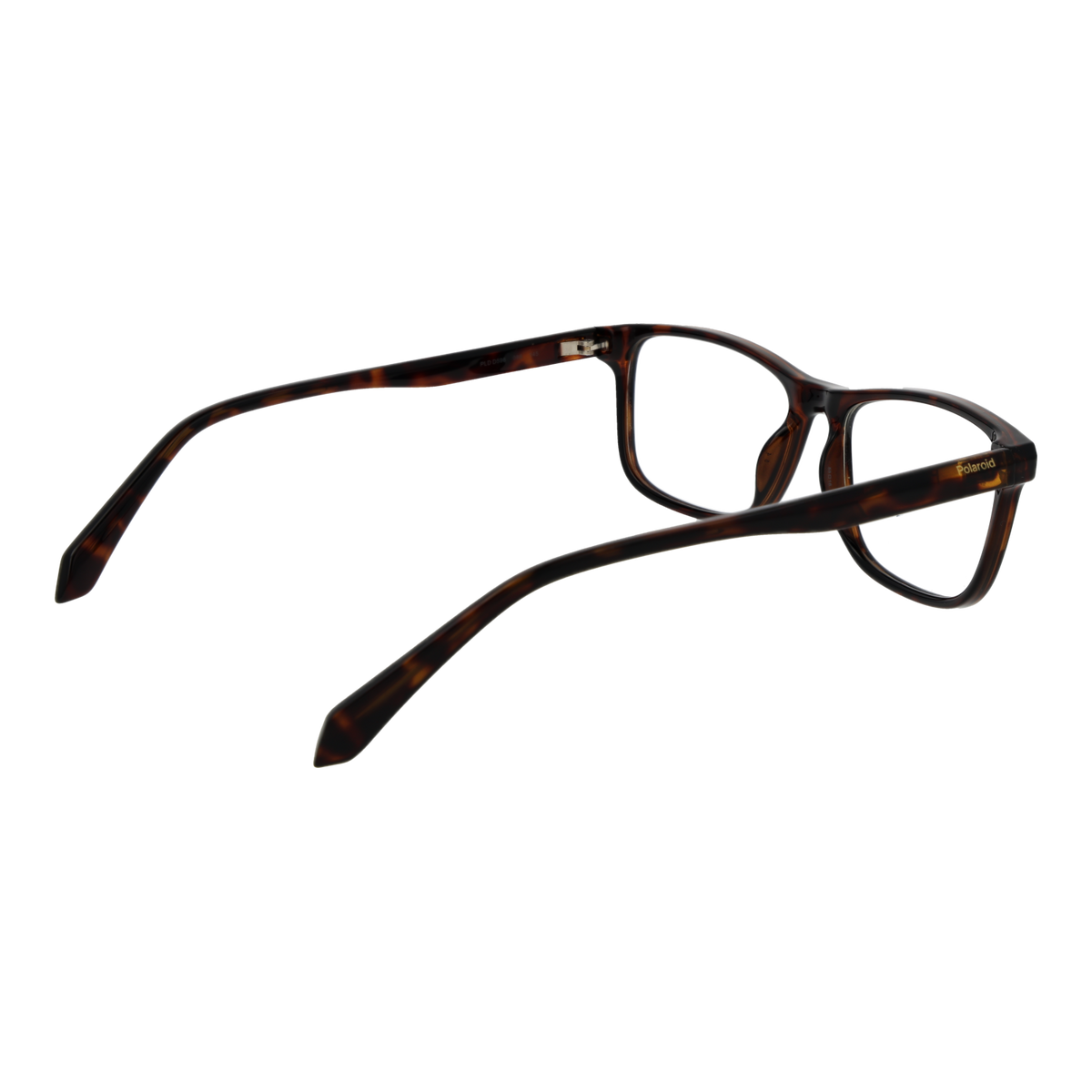Brown/Demo glasses