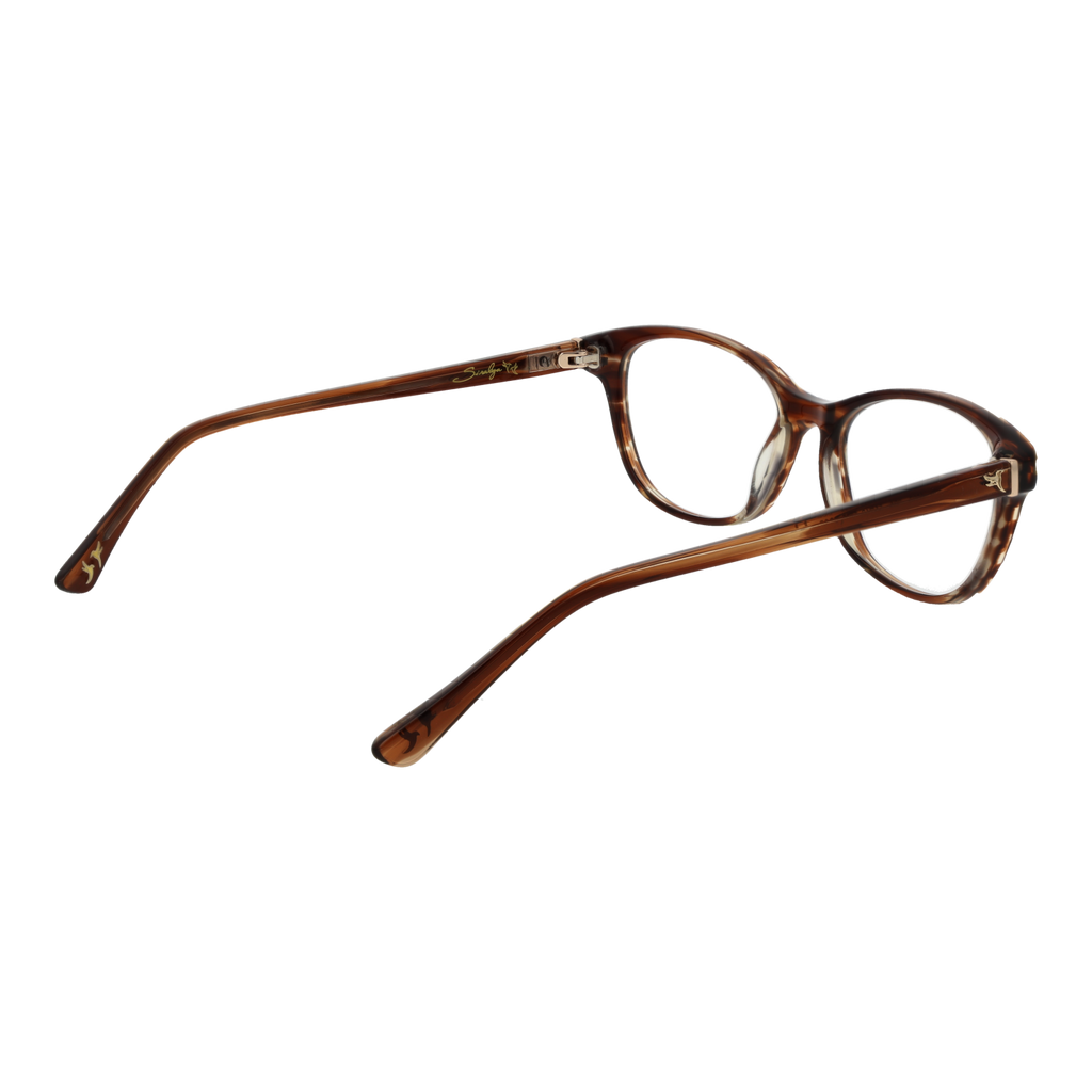 Brown/Demo glasses