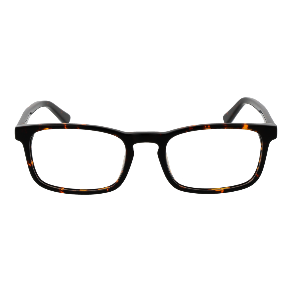Brown/Demo glasses