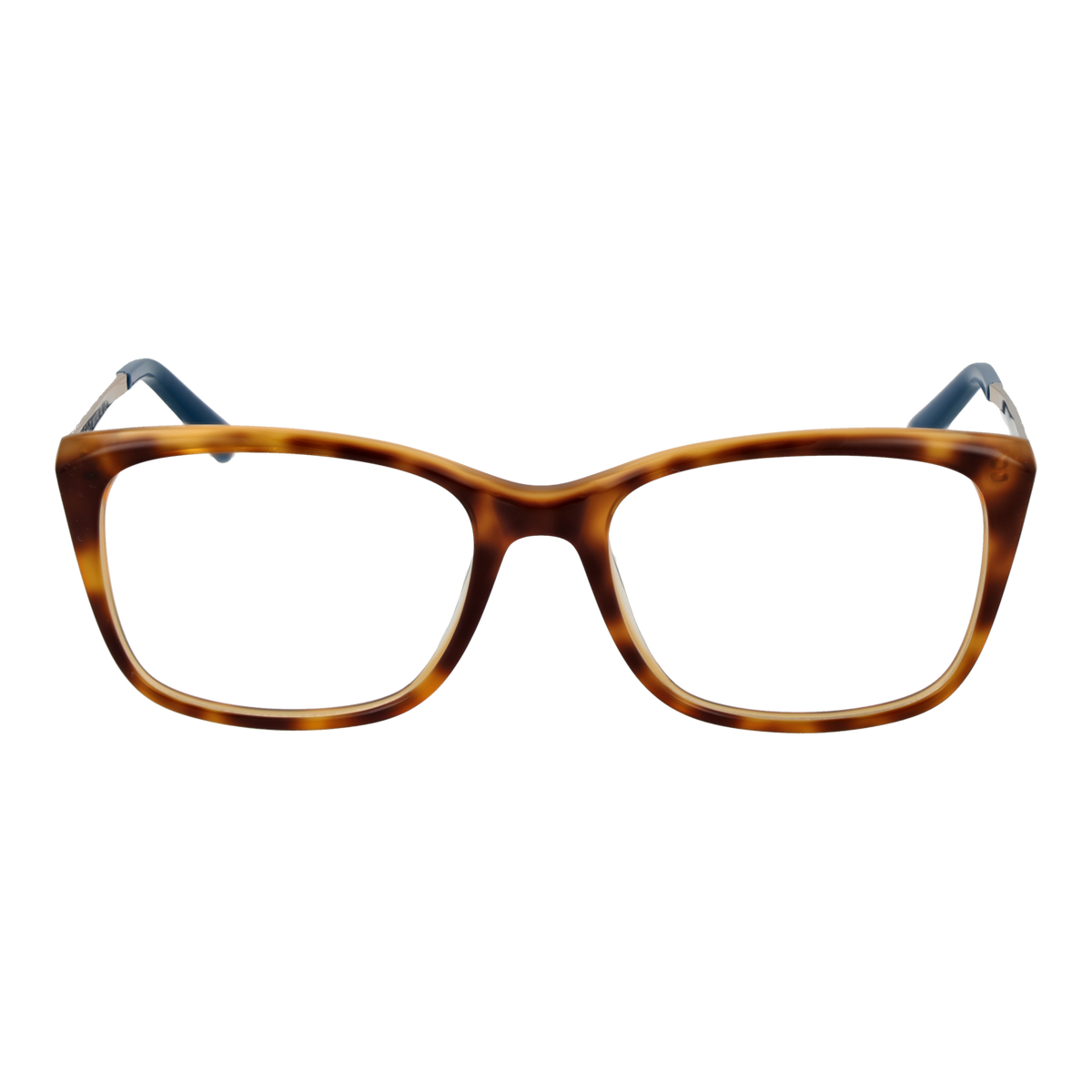 Brown/Demo glasses
