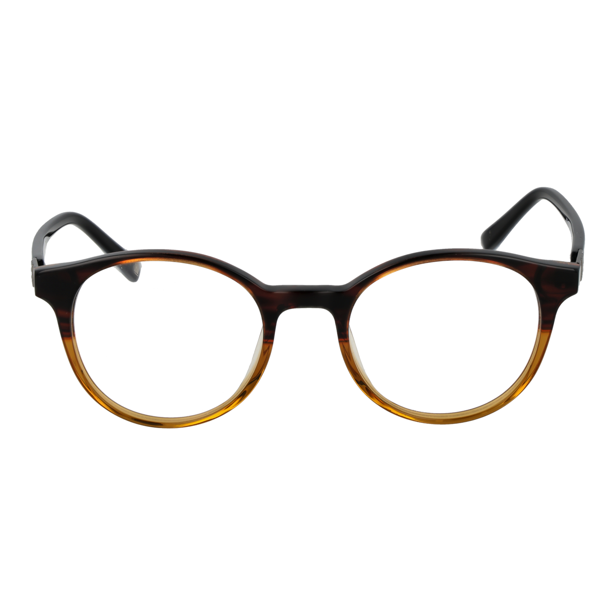 Brown/Demo glasses