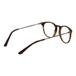 Brown/Demo glasses