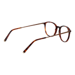 Brown/Demo glasses