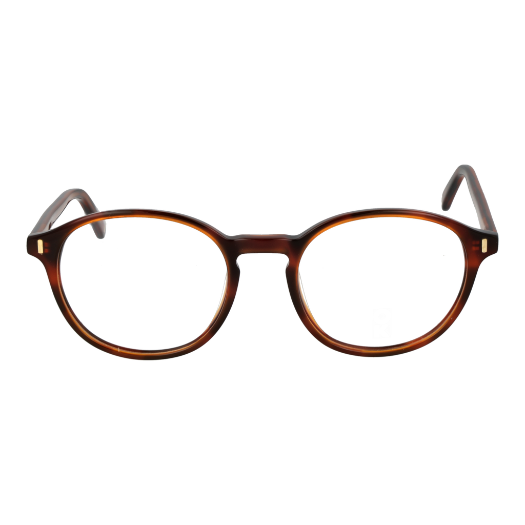 Brown/Demo glasses