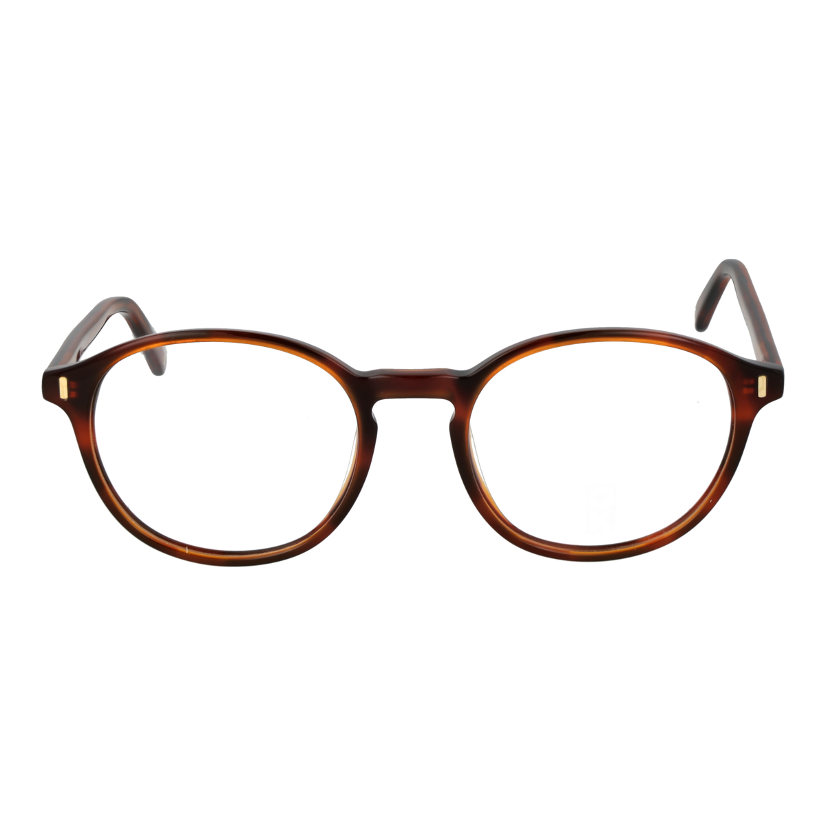 Brown/Demo glasses
