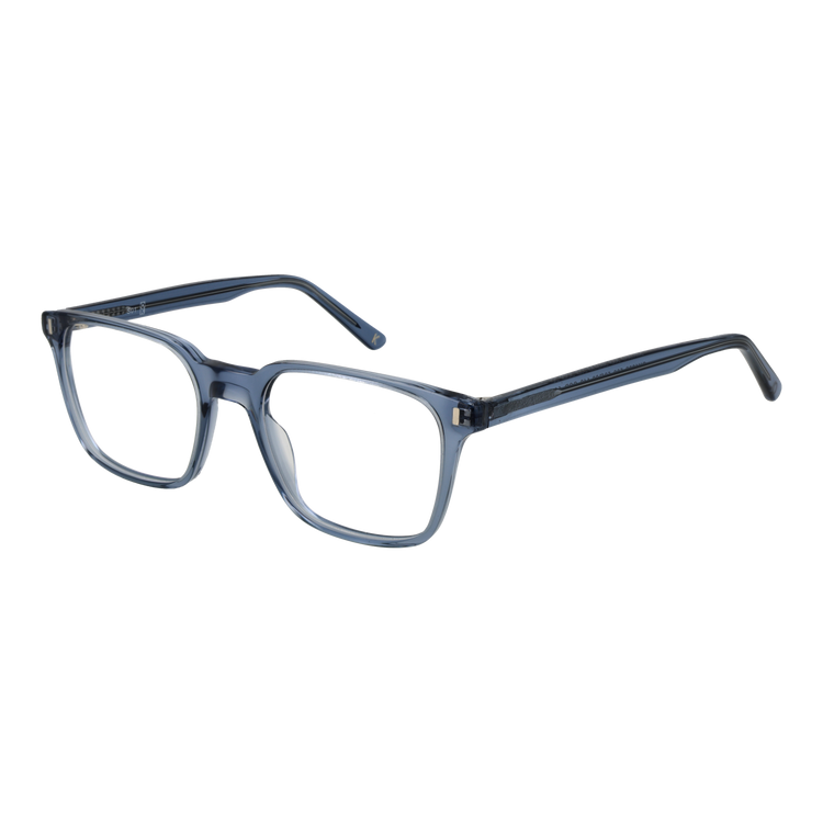 Blue/Demo glasses
