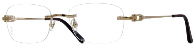 Cartier CT0290O 003 Rectangle Eyeglasses