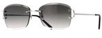 Cartier CT0010RS 001 Rectangle Sunglasses