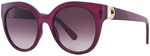 Ferragamo SF964S 500 Cat Eye Sunglasses