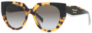 Prada PR 14WS 01M0A7 Cat Eye Sunglasses