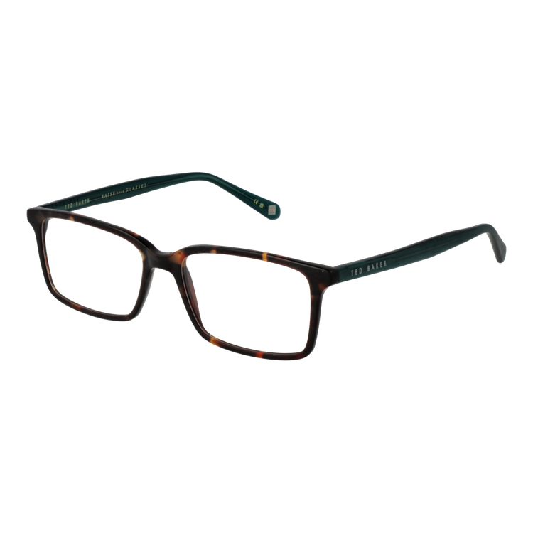 Brown/Demo glasses